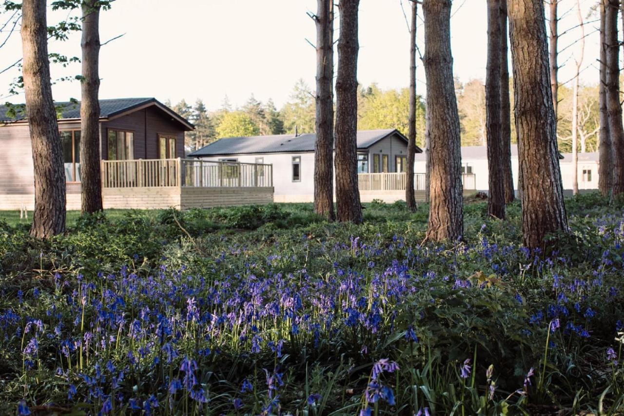 Hollicarrs - Stag Lodge York Kültér fotó