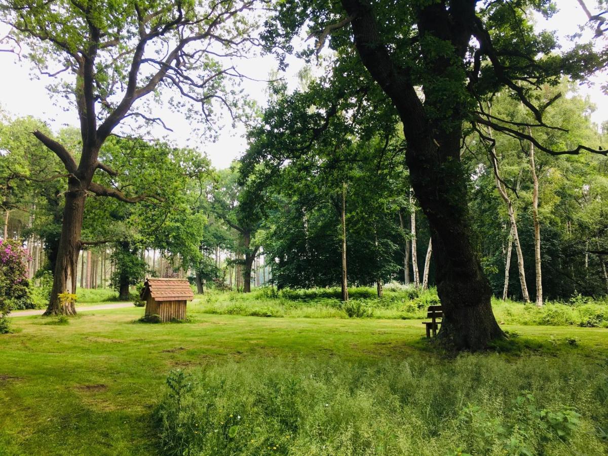 Hollicarrs - Stag Lodge York Kültér fotó
