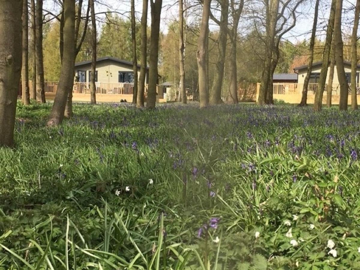 Hollicarrs - Stag Lodge York Kültér fotó