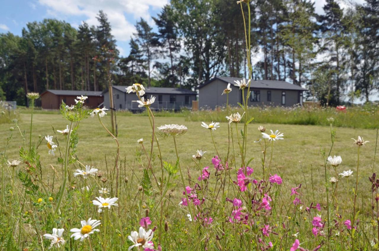 Hollicarrs - Stag Lodge York Kültér fotó