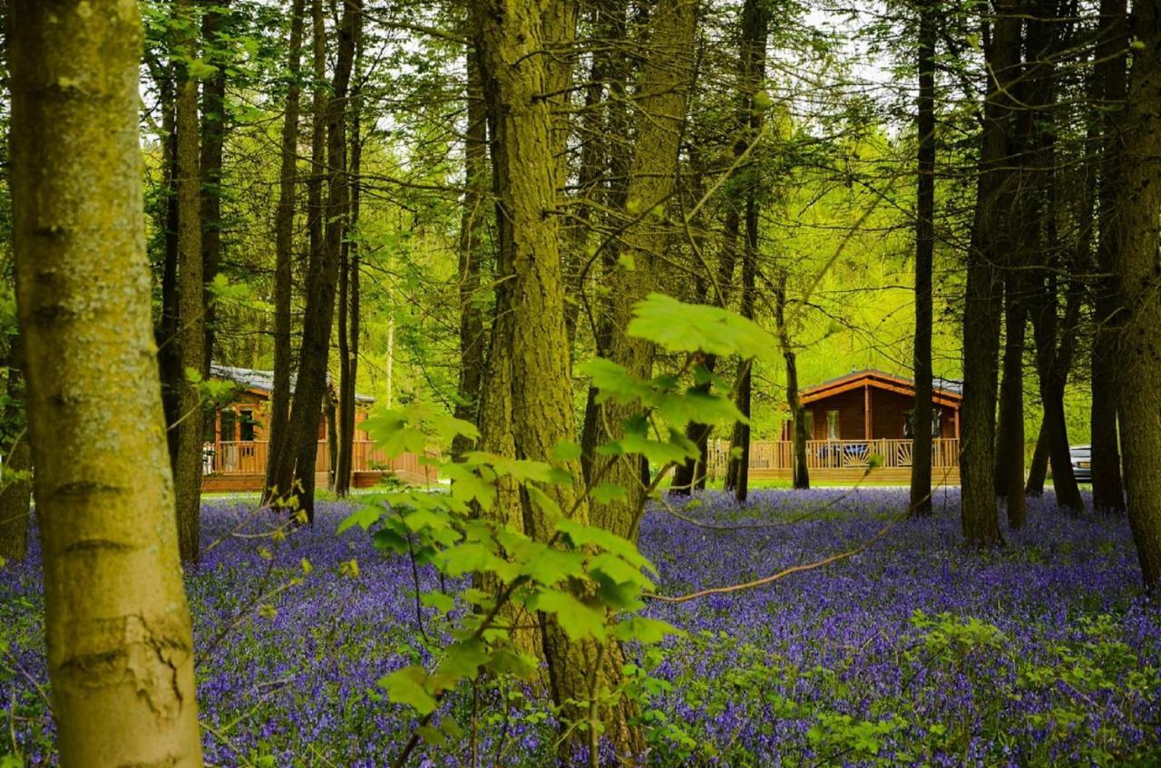 Hollicarrs - Stag Lodge York Kültér fotó