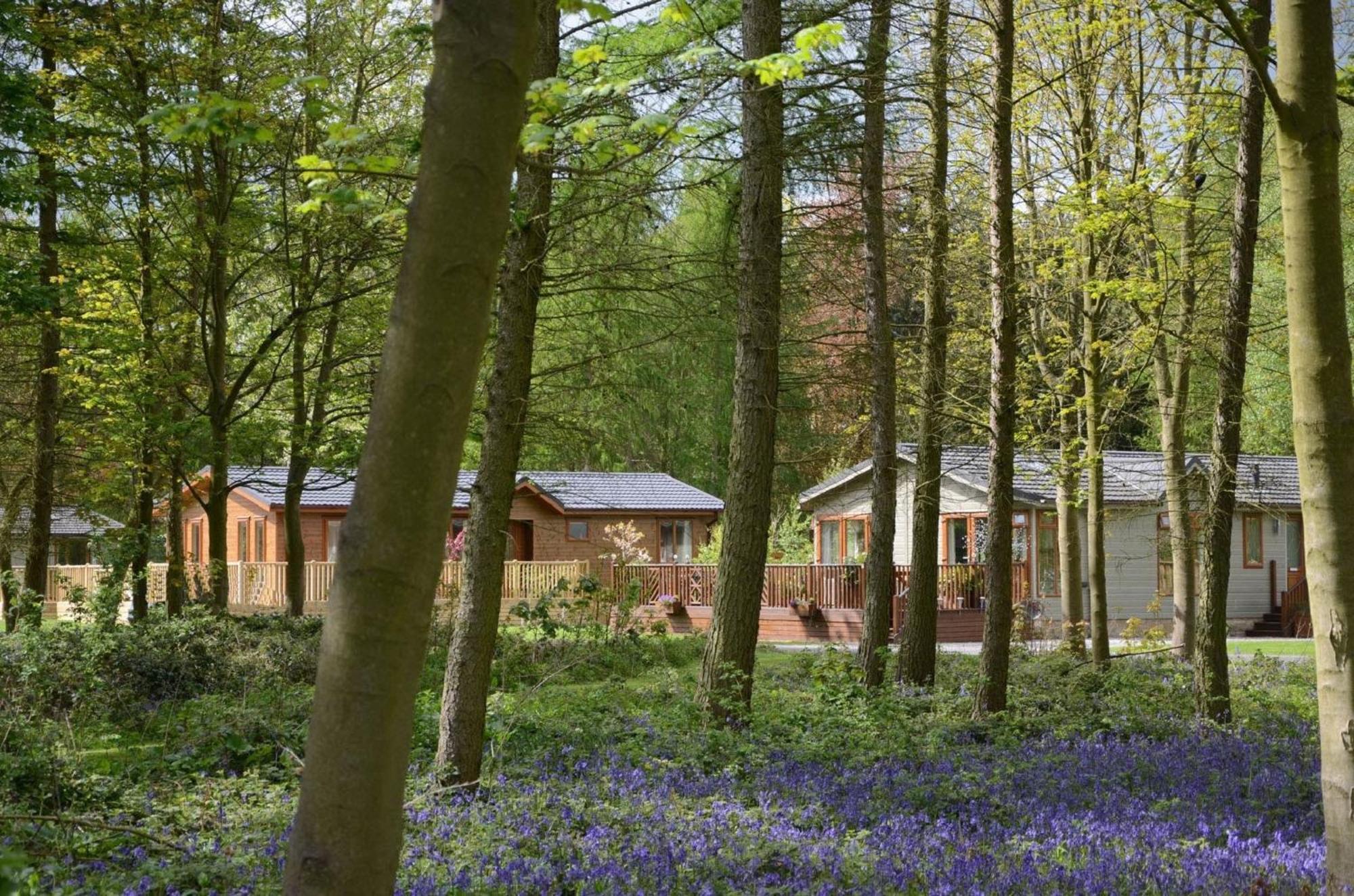 Hollicarrs - Stag Lodge York Kültér fotó